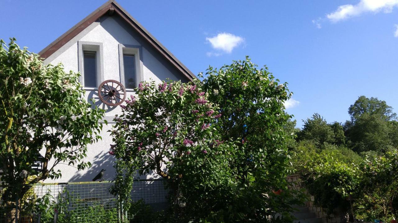 Apartamenty Na Skarpie مينززدرويه المظهر الخارجي الصورة